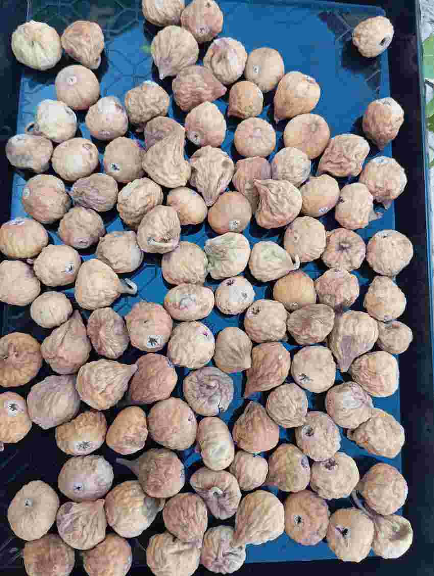 تصویر 1 از فروش انجیر خشک درجه یک اعلا + قیمت روز